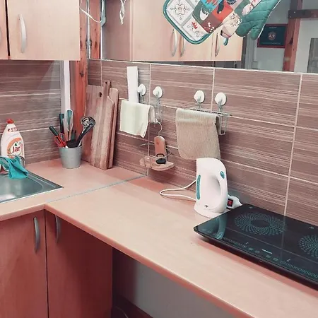 Studio Right In The Centre 公寓 布拉格